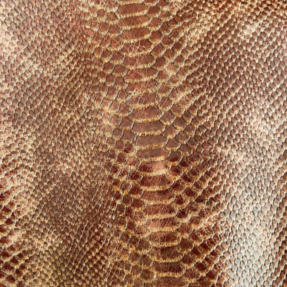 Piel de Res Grabada Tipo Serpiente - Imagen 2